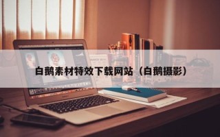 涉县白鹅素材特效下载网站（白鹅摄影）